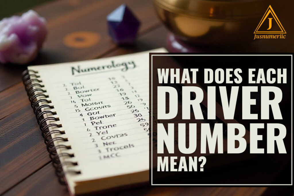 What Does each Driver Number mean